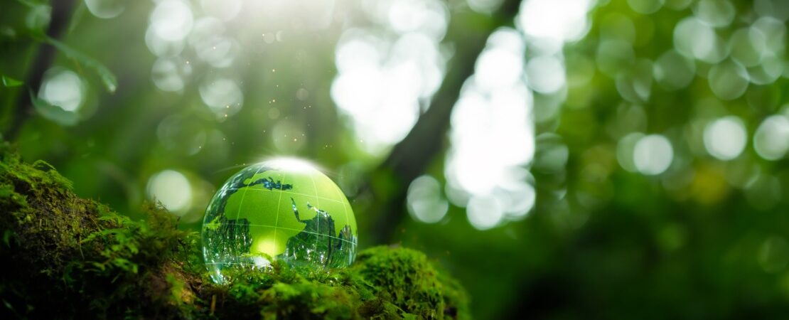 Green IT & Nachhaltigkeit im Unternehmen