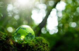 Green IT & Nachhaltigkeit im Unternehmen