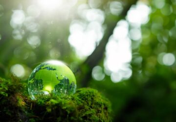 Green IT & Nachhaltigkeit im Unternehmen