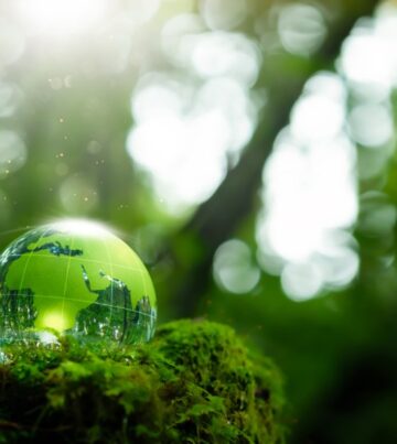 Green IT & Nachhaltigkeit im Unternehmen