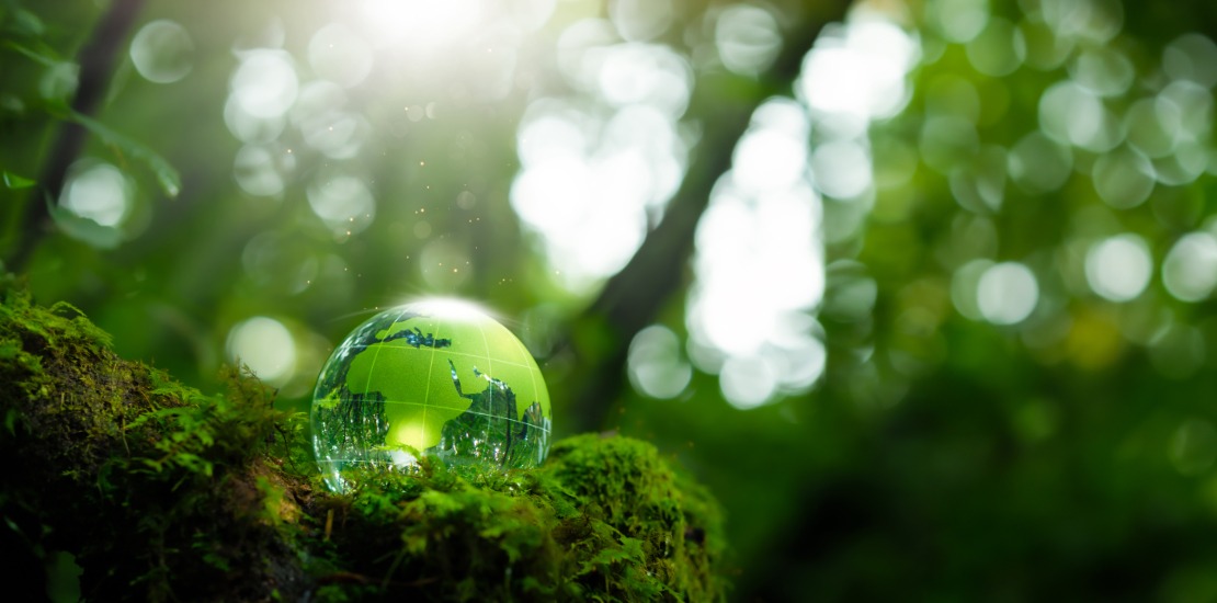 Green IT & Nachhaltigkeit im Unternehmen